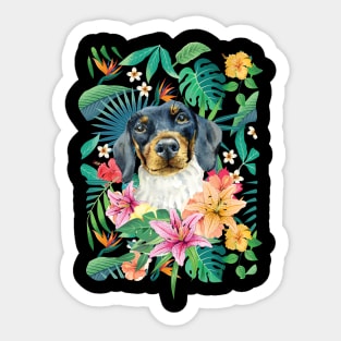 Tropical White Black Tan Piebald Dachshund Doxie 3 Sticker